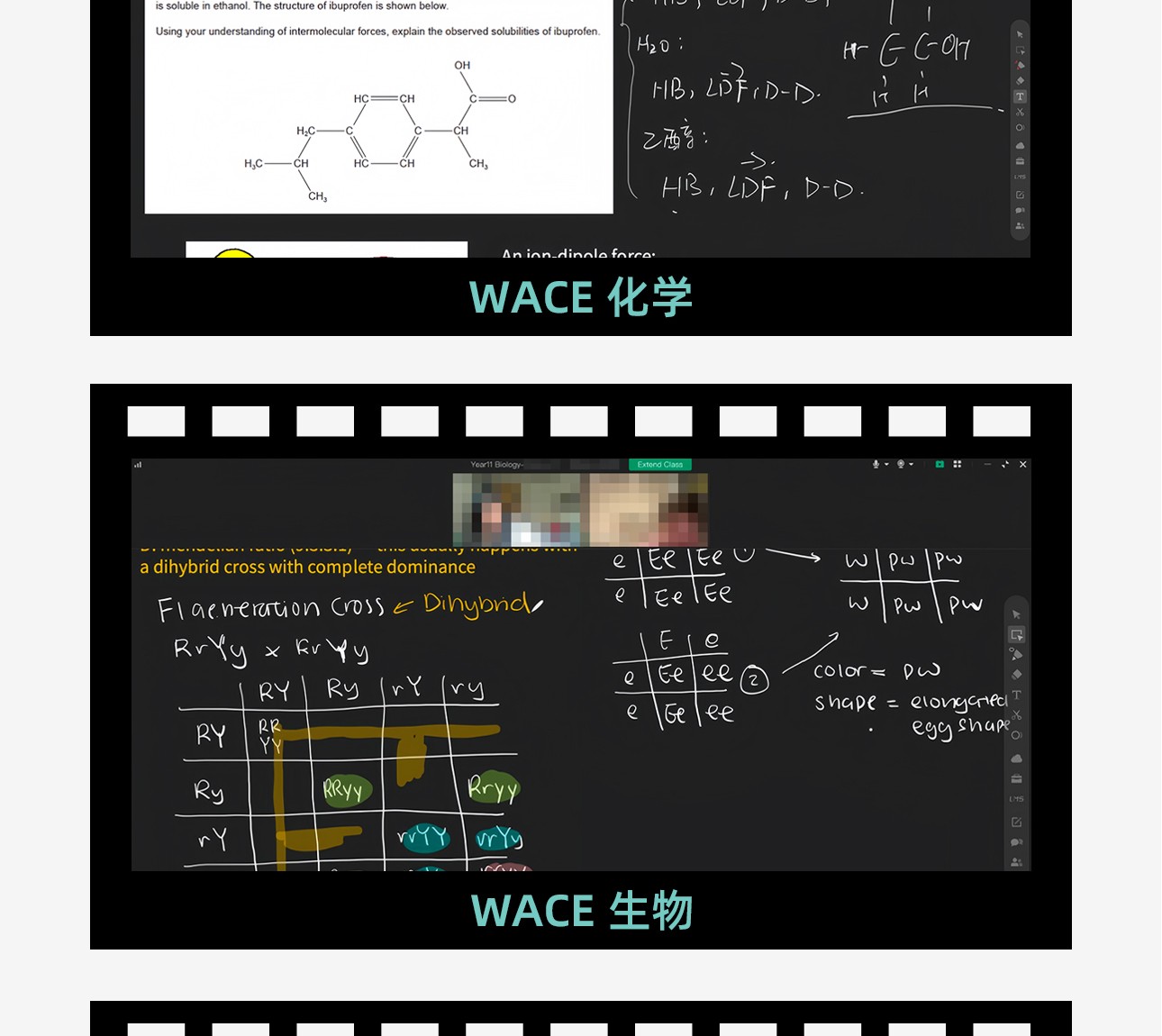 WACE-2_07.jpg